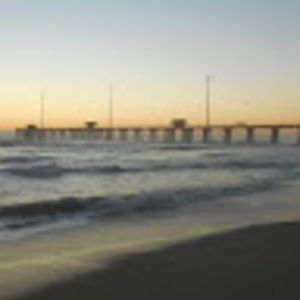 Meet your Posher, Kelly carson